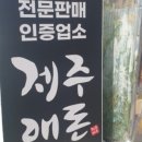 제주애돈 이미지