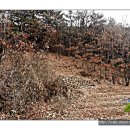 상주 김준신의사 제단비 이미지