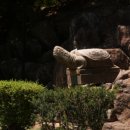 우리벨리펜션 이미지