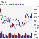 (주)마제스타 마제스타카지노 이미지