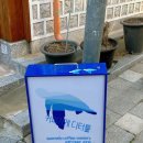 혜화 한옥 카페 &lt;디터틀&gt; 플랫화이트, 롱블랙 내돈내산 후기