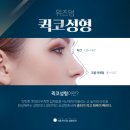 제주코 이미지