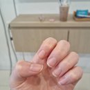 네일다브