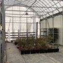 광일농원 이미지