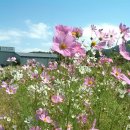 달성요양병원 이미지