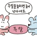 네;일상 이미지
