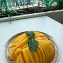 철빙수&크로플 | 대구 도원동 카페 '달다구니' 후기｜망고빙수와 크로플이 맛있는 월광수변공원 카페