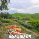 한국풍경민박 | 이탈리아 토스카나여행 농가민박 아그리투리스모 Podere Spedalone