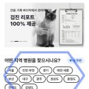 올바로병원 | 버디닥 대전 올바로동물병원 강아지건강검진 방문 후기