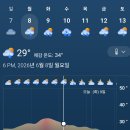 그린월드 Daum카페