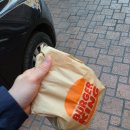 윤영목장2 | [4월 일상 (1)] 제주 왕따나무 사진 명소, 코로나 확진 후기