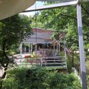 동구릉로 | 구리 카페 동구릉 야외 좌석에서 즐기는 자연친화 감성 힐링