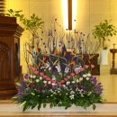 제주영락교회 이미지