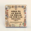 피드 이미지