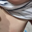 주인숙의원 네이버블로그