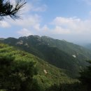 불편한 진실(284) 이미지