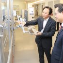 보란파마 이미지