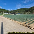 월촌마을회관 이미지