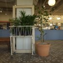 수원-0046 이미지