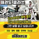 이서태권도장 이미지