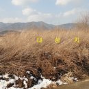 신월동133 이미지