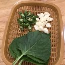 오광PC 네이버블로그