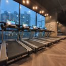 그레이짐 이미지