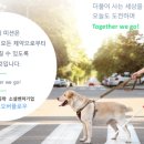 (주)오버플로우 이미지