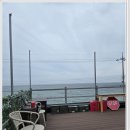 진복롯찌 | 도심 탈출! 울진펜션 진복롯찌에서 제대로 힐링한 후기