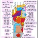 발건강 이미지