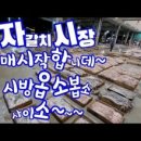 부산시수협자갈치수산물위판장 이미지