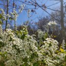 황금도원한의원 | 대구 수입그릇 포트메리온 코스타노바 할인 포하우스 그릇창고 후기