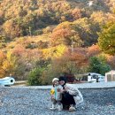[제천 학현아름마을오토캠핑장]애견동반 18개월 아기랑 첫가을 캠핑