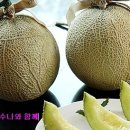 풍요 이미지