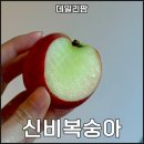 데일리팜 | 데일리팜 6월 신비복숭아 예약구매 내돈내산 솔직후기