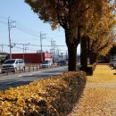 조리읍사무소앞 이미지