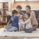 소망종합 동물병원 이미지