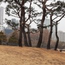 행복스레 이미지