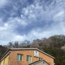 경마장 오리집 | 렛츠런 파크 근처 밥집 경마장 오리집 내 돈 내산 후기