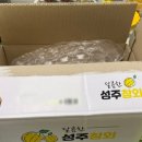제철한입 | 선물 받은 제철한입 못난이 성주 꿀 참외 솔직 후기, 참외 칼로리