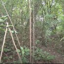 관악-현장-관악-973 이미지