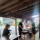 돌고래풀하우스 이미지