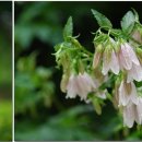 성실자원 이미지