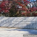 서울대학교 치의학대학원치의학박물관(휴관) | 아이와 함께 서울대학교 견학 서울대 학식 먹기