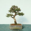 서상동095 이미지