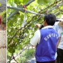 박사골한우 이미지