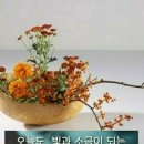 빛과 소금 이미지