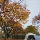 영진오토산업(주) | 안산화랑오토캠핑장 11월 단풍캠핑 &gt;화랑유원지 단풍상황