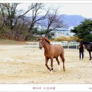 경마공원 이미지