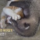 미옥농장 이미지